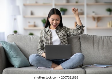 Emotional Young Asian Woman With Laptop Celebrating Success, Sitting On Couch At Home, Gambling Online Or Got Positive Answer, News From Employer, Living Room Interior, Copy Space