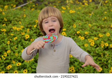 Emotions Of A Child. Portrait Of A Little Positive Boy With A Big Candy On A Stick. Multi-colored Lolipop In The Hands Of A Child. Summer Day, Sincere Joy, Holiday, Day Off, Walk With Parents, Grandmo