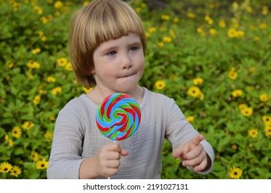 Emotions Of A Child. Portrait Of A Little Positive Boy With A Big Candy On A Stick. Multi-colored Lolipop In The Hands Of A Child. Summer Day, Sincere Joy, Holiday, Day Off, Walk With Parents, Grandmo