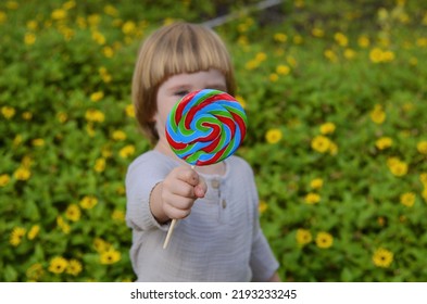 Emotions Of A Child. Portrait Of A Little Positive Boy With A Big Candy On A Stick. Multi-colored Lolipop In The Hands Of A Child. Summer Day, Sincere Joy, Holiday, Day Off, Walk With Parents, Grandmo