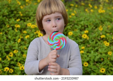 Emotions Of A Child. Portrait Of A Little Positive Boy With A Big Candy On A Stick. Multi-colored Lolipop In The Hands Of A Child. Summer Day, Sincere Joy, Holiday, Day Off, Walk With Parents, Grandmo