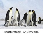 Emperor Penguin colony at Snow Hill in  Antarctica.