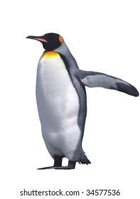 Emperor Penguin Isolated On White With Clipping Path