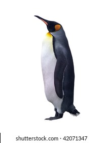 Emperor Penguin Isolated On White With Clipping Path