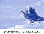 Emperor Penguin jumping out of the water, Riiser-Larsen Ice Shelf, Queen Maud Land Coast, Weddell Sea, Antarctica