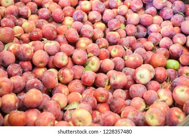 Empire Apples In Packing Crate For Sale In Orchard. Apple Hill, California, USA. 