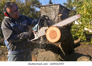 An employee saws a tree with a chainsaw. sawdust is flying. - Powered by Shutterstock