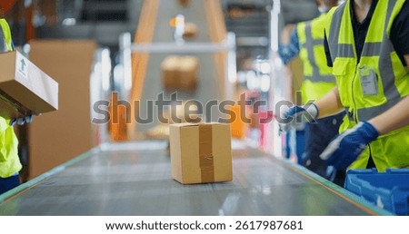Employees Sorting and Loading Parcels, Packages, Cardboard Boxes on a Conveyor Belt in a Postal Office or Retail Shop Warehouse Facility, Ensuring Smooth Logistics Operations