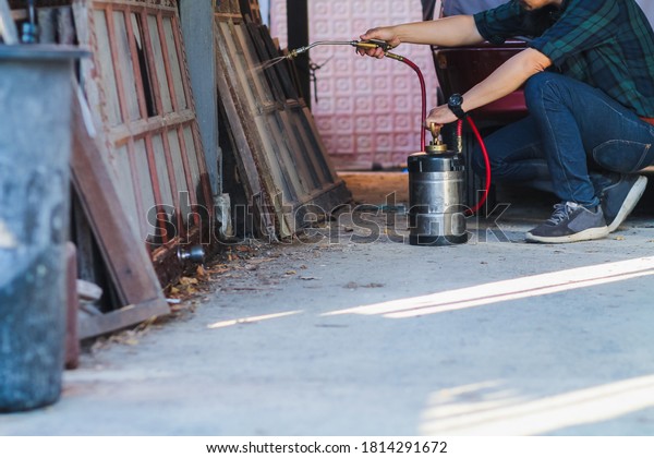 Employees at a termite control company are using\
a chemical sprayer to get rid of termites at customers\' homes and\
search for termite nests to eradicate them. Chemical spray ideas to\
prevent insects.