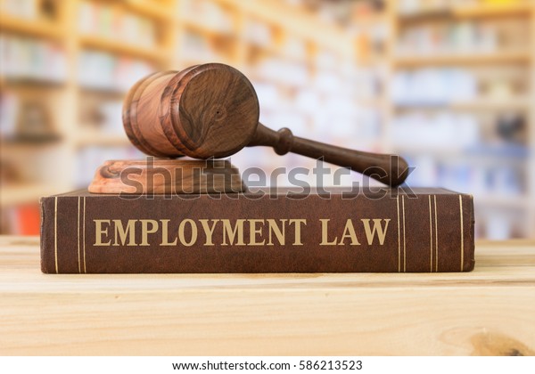 employment law books and a gavel on desk in\
the library. concept of legal\
education.
