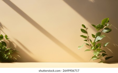 Empty Abstract background Shadow, mock up scene. Sunshade shadow on the wall and floor. Beige Minimalist Cosmetics or skin care backdrop for products presentation. free space for text
