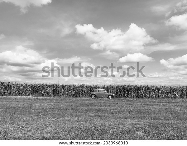 The empty agricultural field in autumn. Mini John\
Cooper Works , higher spec model of the Mini Cooper S made a stop\
on the nature, black and white photo, corn field on background. BMW\
small car