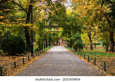 Empty Alley In Cismigiu Park In Bucharest, Capital City Of Romania