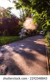 Empty Alley In Cismigiu Park In Bucharest, Capital City Of Romania