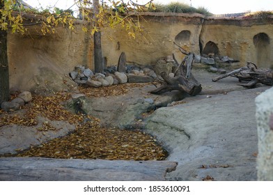 Empty Animal Enclosure In The Zoo At Autumn