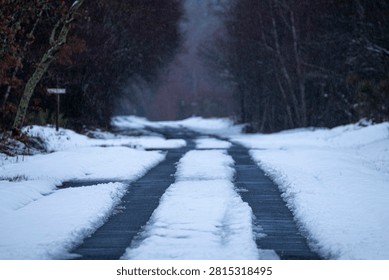 Empty asphalt path cleared of snow leading towards a dark foggy forest