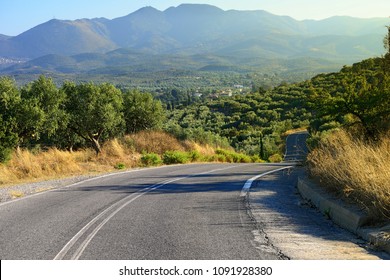 Empty Asphalt Road Among Green Hills Covered Olives Garden Under Evening Sun Light. Messinia, Kalamata Region, Greece 