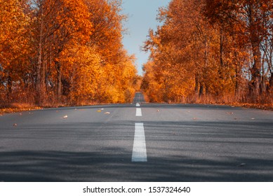 Empty Asphalt Road In Autumn Forest. Autumnal Background