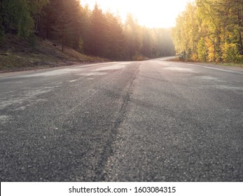 Empty Asphalt Road In A Forest. New Surface Without Marking, Warm Sunny Day, Nobody. Sun Flare. Low Angle Of View. Selective Focus.