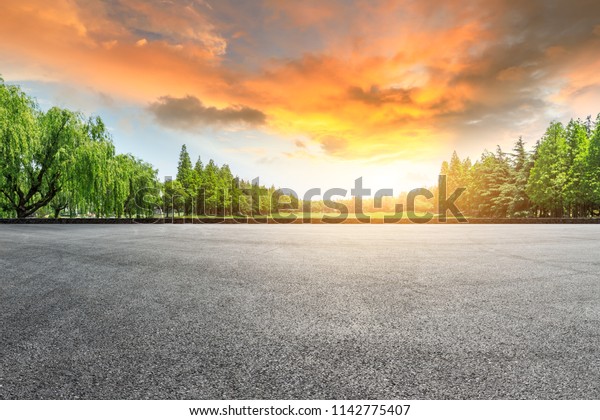 Empty\
asphalt road and green forest landscape at\
sunset
