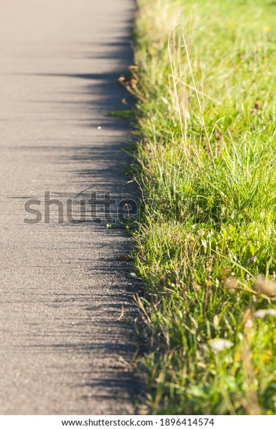 Empty asphalt road\
with green grass on a roadside at sunny day, abstract vertical\
transportation background