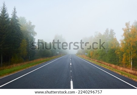 Empty asphalt road (highway) through the forest. Thick fog. Concept autumn landscape. Transportation, dangerous driving, speed, freedom, travel, tourism, the way forward themes