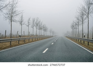 An empty asphalt road lined with bare trees on both sides under foggy weather conditions, creating a misty and quiet atmosphere in a rural setting.