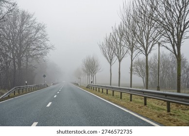 Empty asphalt road lined with leafless trees and metal guardrails on both sides under dense fog creating a moody and quiet atmosphere.