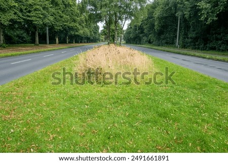 Empty asphalt road with pavement and grass verge