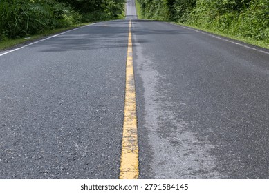 An empty asphalt road with a solid yellow line stretches forward through a lush green forest toward the hills.