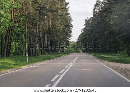 Empty asphalt road through forest landscape. Scenic countryside route between trees. Transportation and travel concept. Peaceful nature environment.