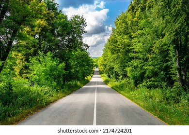 Empty Asphalt Road Through The Green Trees.