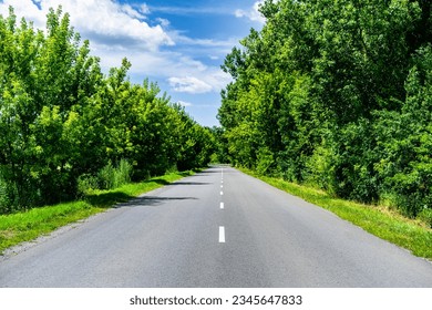 Empty asphalt road through the green trees. - Shutterstock ID 2345647833