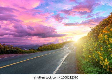 Empty Asphalt Road Through Mexican Sunflower Flower Field To Sunset Sky At Mae Hong Son Province, Thailand.