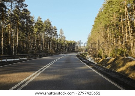 Empty asphalt road through pine forest landscape. Scenic transportation route under clear sky. Countryside travel background. Nature and infrastructure connection in rural area.