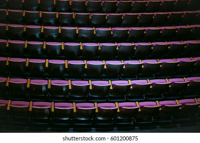 Empty auditorium. Rows of violet seats in an empty concert hall.
