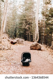 Empty Baby Car Seat/carrier With Baby Blanket Inside Sitting In The Middle Of Empty Pathway In Middle Of Forest.