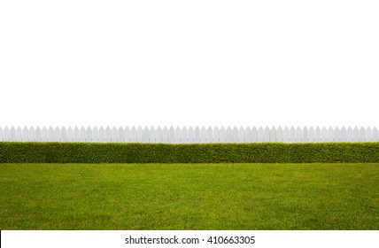 Empty backyard isolated on white background with copy space