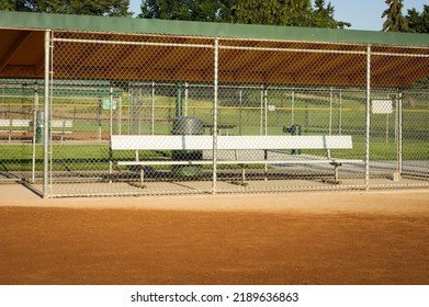 Empty Baseball Field And Dugout