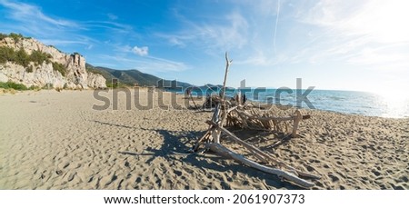 Empty beach in Maremma nature reserve, Tuscany, Italy. Sand bay in natural park dramatic coast rocky headland and pine forest mediterranean sea blue waving water