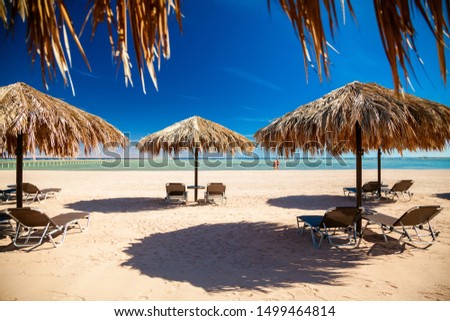 Empty beach with sunbeds and umbrellas, Egypt. Vacation concept.