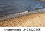 Empty beach in Varjakka, Lumijoki Finland