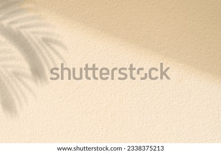 Empty beige cement wall background with light and shadow and blurred shadow palm leave well free space for text presentation 