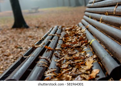 An empty bench with brown autumn leaves.