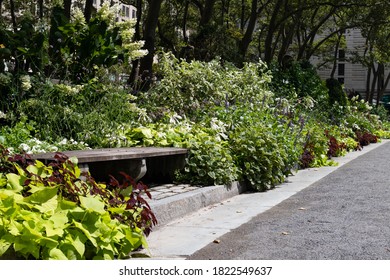 Empty Bench at Bryant Park surrounded by Flowers during Summer in Midtown Manhattan of New York City