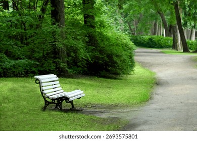 Empty bench by walking path in green park.