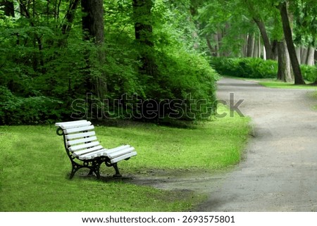 Empty bench by walking path in green park.