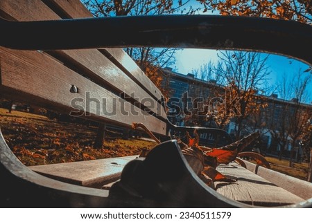 Empty bench with fallen leaves on it in autumn