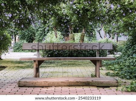 perennial | bench on a hiking trail, and unoccupied