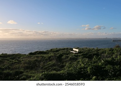 Empty Bench in a Grass Field by the Seashore - Powered by Shutterstock